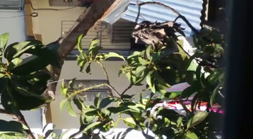 Spying video xxx neighbor voyeur washing