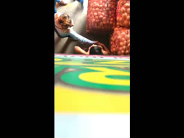 Tres chica colombiana chupándosela al vendedor